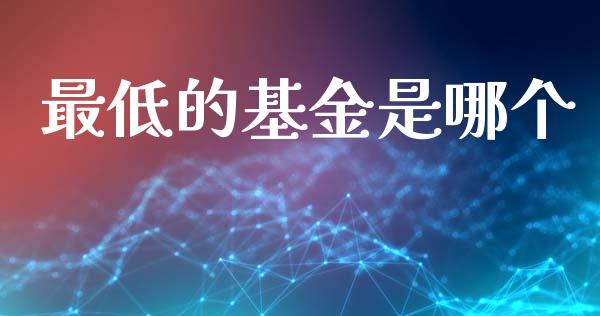 最低的基金是哪个_https://www.fsyjjx.cn_问财精选_第1张