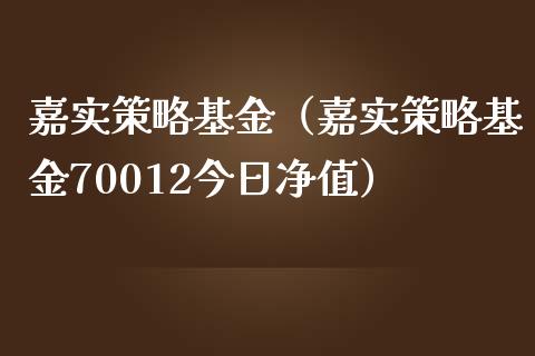 嘉实策略基金（嘉实策略基金70012今日净值）_https://www.fsyjjx.cn_问财精选_第1张