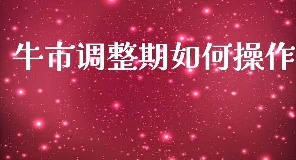 牛市调整期如何操作_https://www.fsyjjx.cn_期货在线_第1张