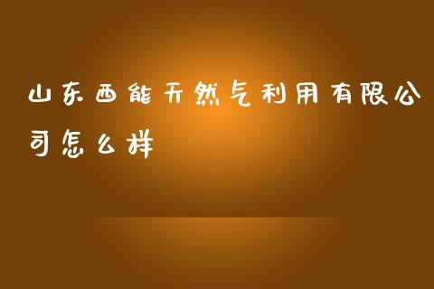 山东西能天然气利用有限公司怎么样_https://www.fsyjjx.cn_股票指导_第1张