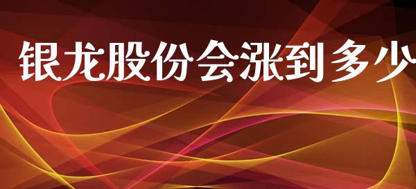 银龙股份会涨到多少_https://www.fsyjjx.cn_股票指导_第1张