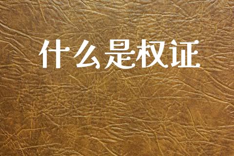 什么是权证_https://www.fsyjjx.cn_期货资讯_第1张