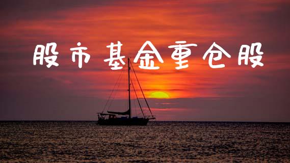 股市基金重仓股_https://www.fsyjjx.cn_问财精选_第1张