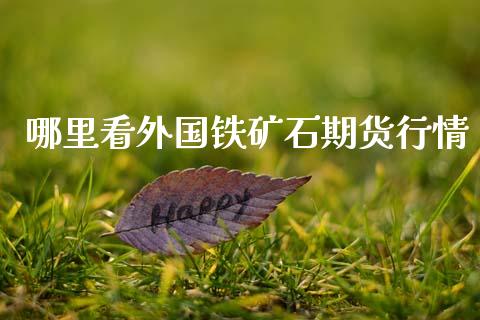 哪里看外国铁矿石期货行情_https://www.fsyjjx.cn_期货资讯_第1张