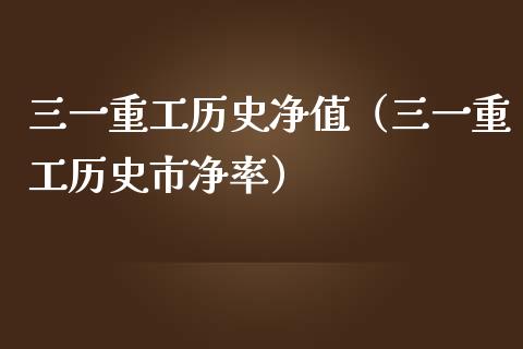 三一重工历史净值（三一重工历史市净率）_https://www.fsyjjx.cn_股票指导_第1张