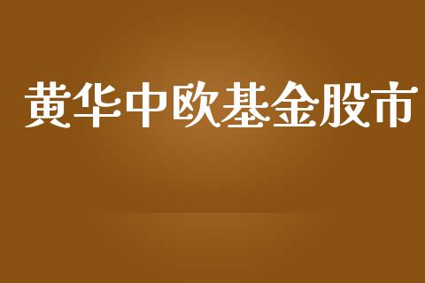 黄华中欧基金股市_https://www.fsyjjx.cn_理财资讯_第1张