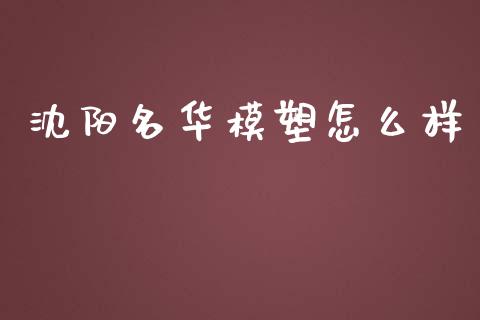 沈阳名华模塑怎么样_https://www.fsyjjx.cn_股指期货_第1张