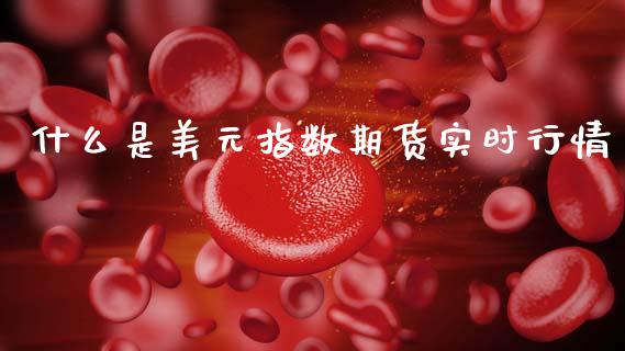 什么是美元指数期货实时行情_https://www.fsyjjx.cn_期货研报_第1张
