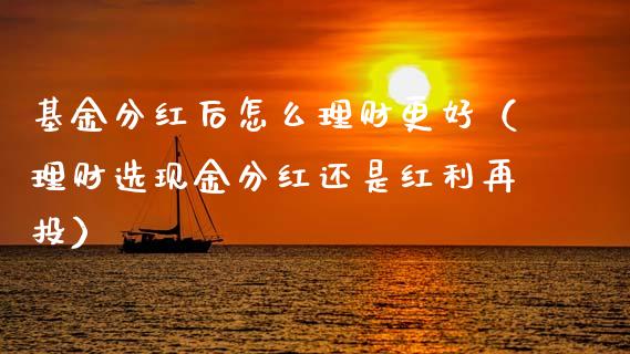 基金分红后怎么理财更好（理财选现金分红还是红利再投）_https://www.fsyjjx.cn_理财资讯_第1张