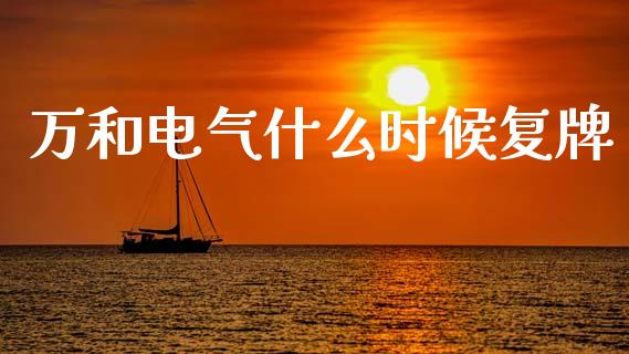 万和电气什么时候复牌_https://www.fsyjjx.cn_股票指导_第1张