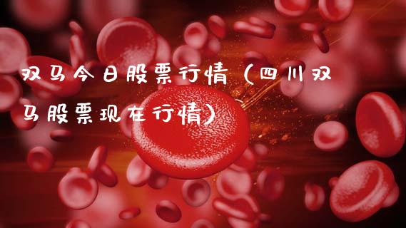 双马今日股票行情（四川双马股票现在行情）_https://www.fsyjjx.cn_股指期货_第1张