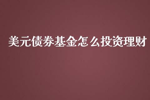 美元债券基金怎么投资理财_https://www.fsyjjx.cn_问财精选_第1张