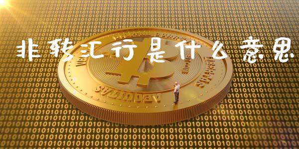 非转汇行是什么意思_https://www.fsyjjx.cn_期货研报_第1张