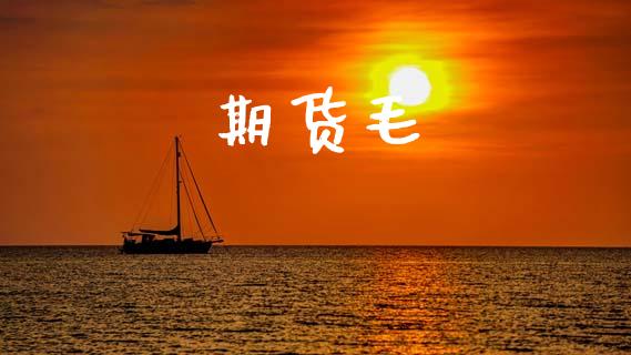 期货毛_https://www.fsyjjx.cn_股市分析_第1张