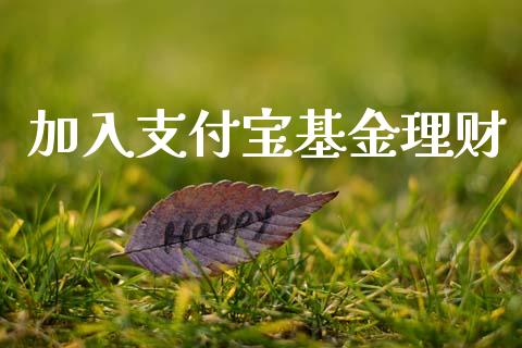 加入支付宝基金理财_https://www.fsyjjx.cn_问财精选_第1张