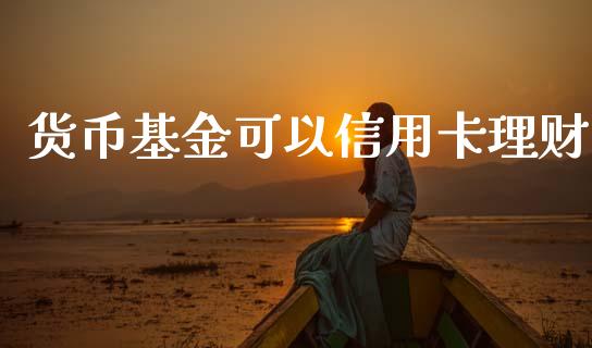 货币基金可以信用卡理财_https://www.fsyjjx.cn_问财精选_第1张