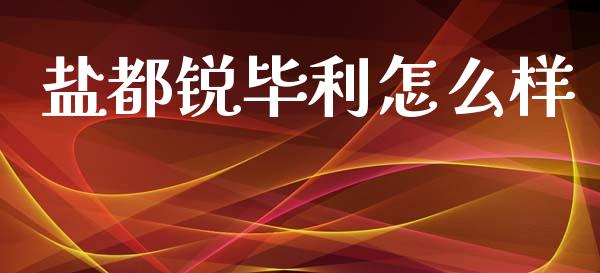 盐都锐毕利怎么样_https://www.fsyjjx.cn_理财资讯_第1张