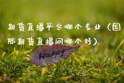 期货直播平台哪个专业（国际期货直播间哪个好）_https://www.fsyjjx.cn_期货在线_第1张