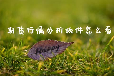 期货行情分析软件怎么看_https://www.fsyjjx.cn_期货资讯_第1张