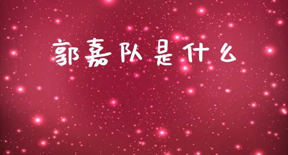 郭嘉队是什么_https://www.fsyjjx.cn_股市分析_第1张
