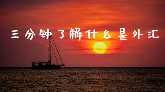 三分钟了解什么是外汇_https://www.fsyjjx.cn_理财资讯_第1张