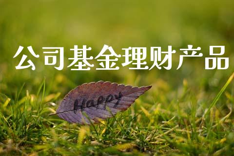 公司基金理财产品_https://www.fsyjjx.cn_问财精选_第1张
