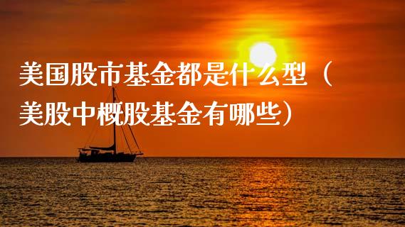 美国股市基金都是什么型（美股中概股基金有哪些）_https://www.fsyjjx.cn_问财精选_第1张