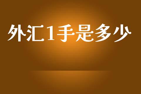 外汇1手是多少_https://www.fsyjjx.cn_股市分析_第1张