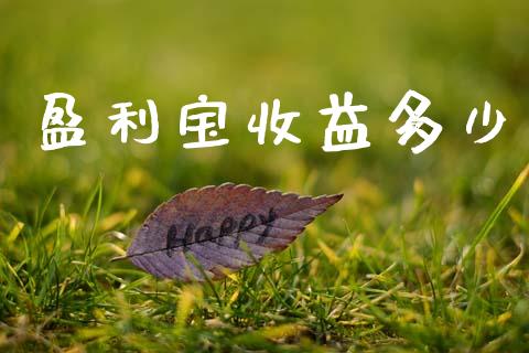 盈利宝收益多少_https://www.fsyjjx.cn_股指期货_第1张