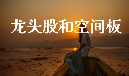 龙头股和空间板_https://www.fsyjjx.cn_期货资讯_第1张