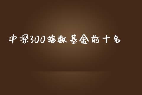 沪深300指数基金前十名_https://www.fsyjjx.cn_期货资讯_第1张