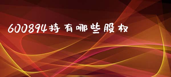 600894持有哪些股权_https://www.fsyjjx.cn_期货资讯_第1张