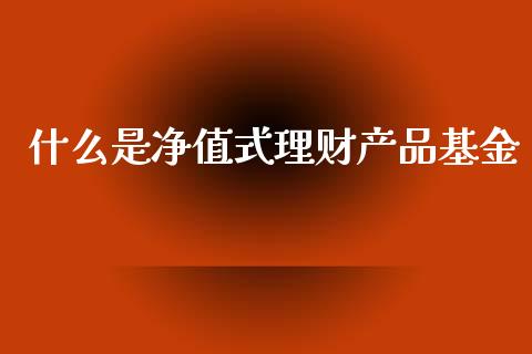 什么是净值式理财产品基金_https://www.fsyjjx.cn_理财资讯_第1张