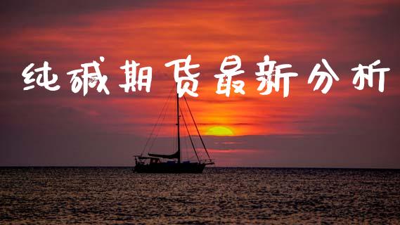 纯碱期货最新分析_https://www.fsyjjx.cn_期货研报_第1张