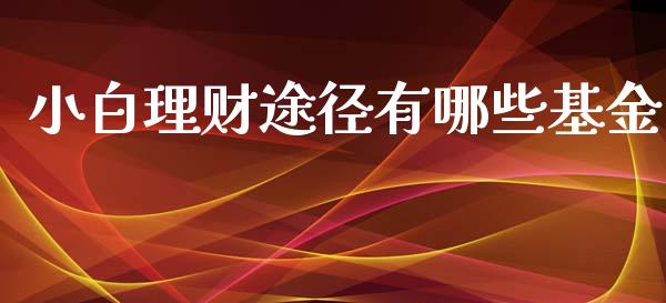 小白理财途径有哪些基金_https://www.fsyjjx.cn_问财精选_第1张