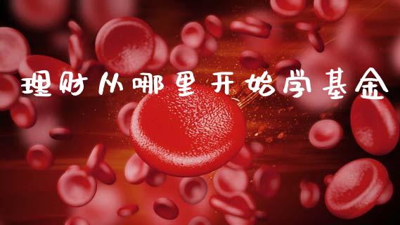 理财从哪里开始学基金_https://www.fsyjjx.cn_问财精选_第1张