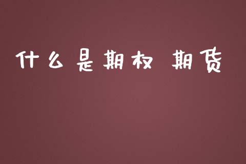 什么是期权 期货_https://www.fsyjjx.cn_期货在线_第1张