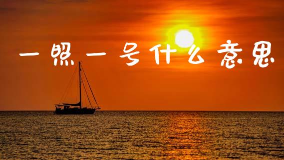 一照一号什么意思_https://www.fsyjjx.cn_股市分析_第1张