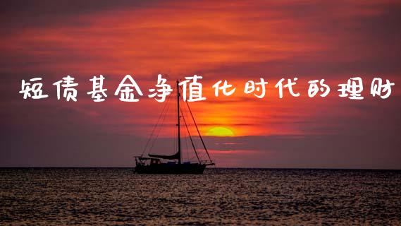 短债基金净值化时代的理财_https://www.fsyjjx.cn_理财资讯_第1张