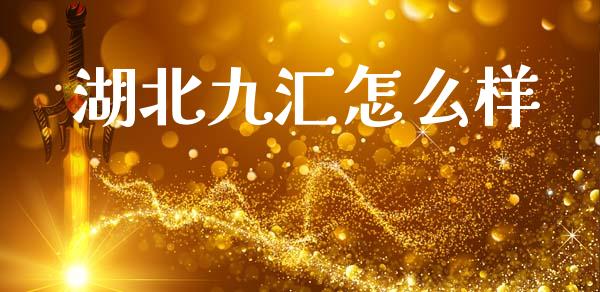 湖北九汇怎么样_https://www.fsyjjx.cn_期货在线_第1张