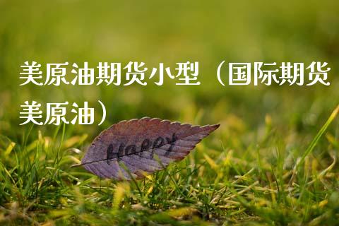 美原油期货小型（国际期货美原油）_https://www.fsyjjx.cn_期货研报_第1张
