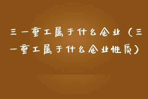 三一重工属于什么企业（三一重工属于什么企业性质）_https://www.fsyjjx.cn_股票指导_第1张