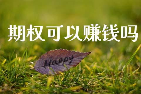 期权可以赚钱吗_https://www.fsyjjx.cn_期货在线_第1张