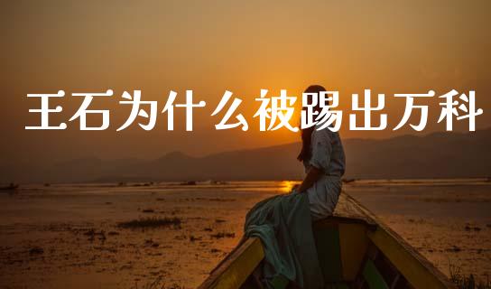 王石为什么被踢出万科_https://www.fsyjjx.cn_股市分析_第1张