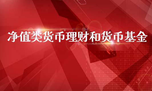 净值类货币理财和货币基金_https://www.fsyjjx.cn_理财资讯_第1张