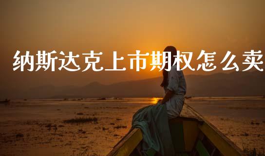 纳斯达克上市期权怎么卖_https://www.fsyjjx.cn_理财资讯_第1张