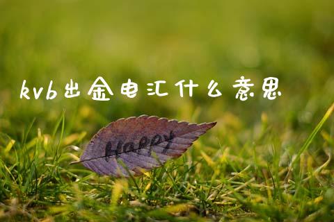 kvb出金电汇什么意思_https://www.fsyjjx.cn_理财资讯_第1张