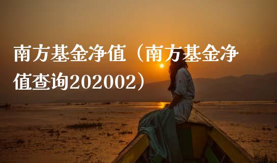 南方基金净值（南方基金净值查询202002）_https://www.fsyjjx.cn_问财精选_第1张