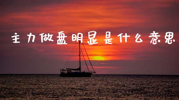 主力做盘明显是什么意思_https://www.fsyjjx.cn_问财精选_第1张