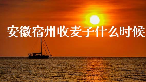 安徽宿州收麦子什么时候_https://www.fsyjjx.cn_期货资讯_第1张
